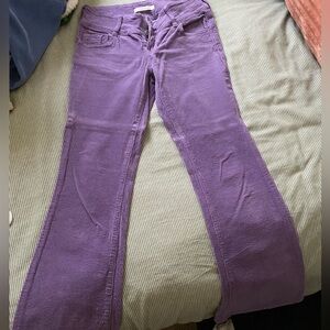 Women's Purple Jeans